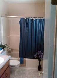 3rd image of 3007 Green Forest Dr