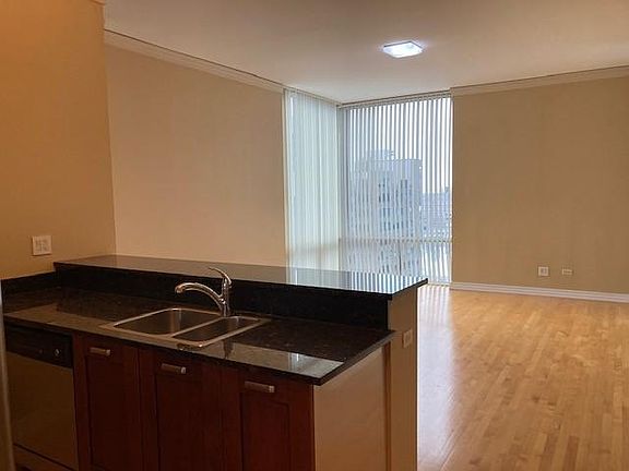 2nd image of 170 W Polk St APT 1103