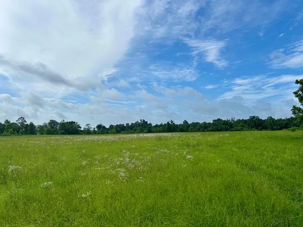 0 Phil Spooner Rd, Donalsonville, GA 39845