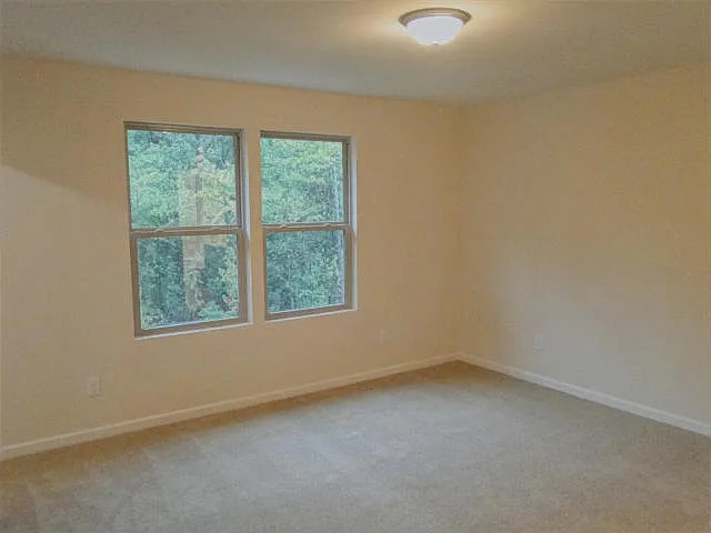 62 Holly Berry Ln — Photo 9