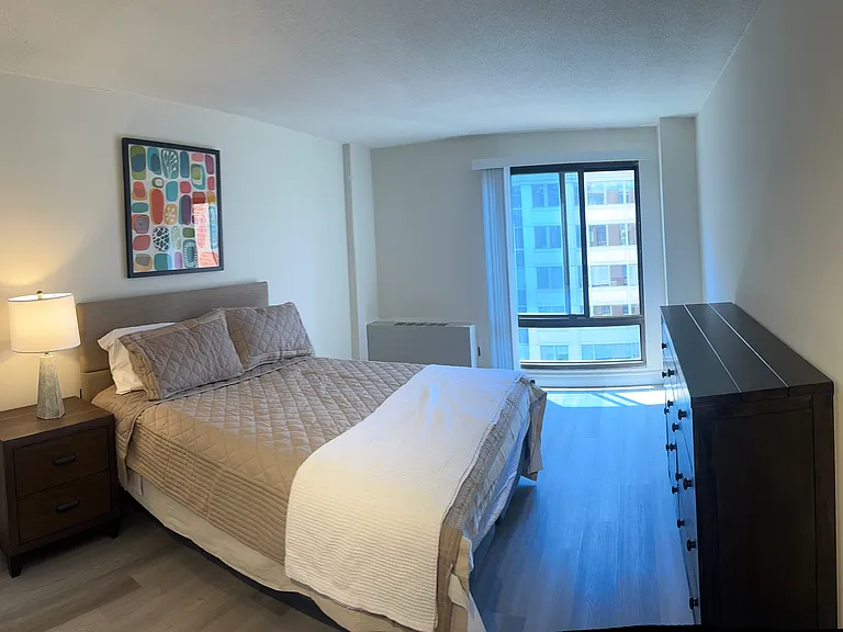 Zen Apollo — Photo 6
