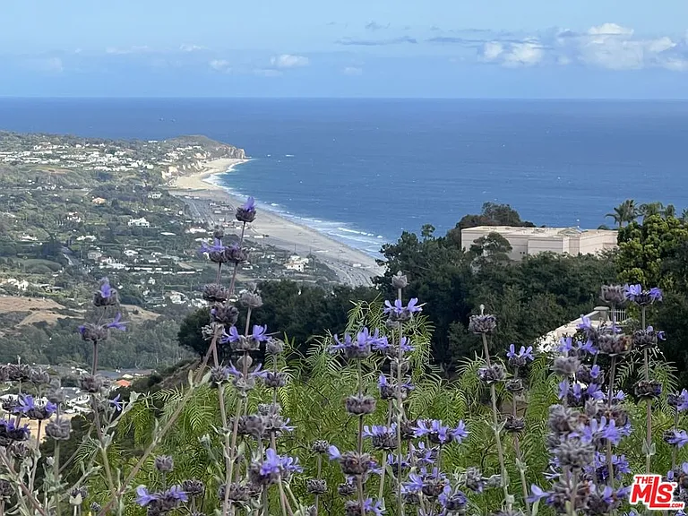 31415 Anacapa View Dr — Photo 4