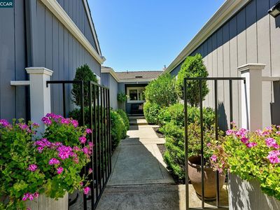 583 Rolling Hills Ln, Danville, CA, 94526