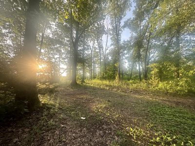 000 Tbd Farm Road 1010, Washburn, MO, 65772