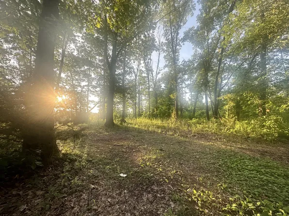000 Tbd Farm Road 1010, Washburn, MO 65772