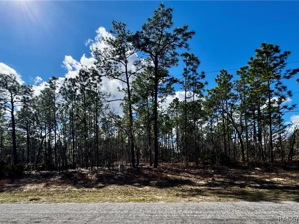 7778 N Gibralter Dr, Citrus Springs, FL 34434