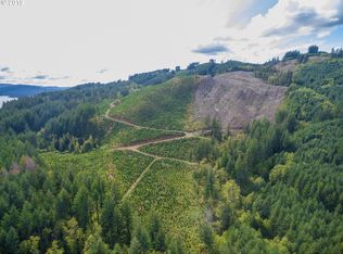 0 Lewis River Rd, Cougar, WA 98616