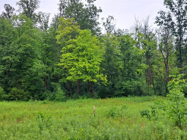 16224W Musky Point Drive, Stone Lake, WI 54876