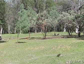 4th image of 4829 Wildwood Dr