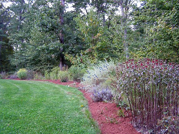 Perennial Beds