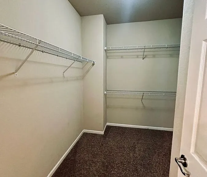 10860 Pebble Hill Dr — Photo 21