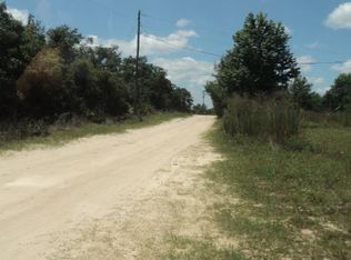 43927 Cooter Pond Rd, Deland, FL 32720