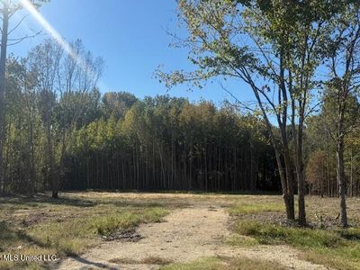 54 Shamrock Loop LOT 54, Byhalia, MS, 38611
