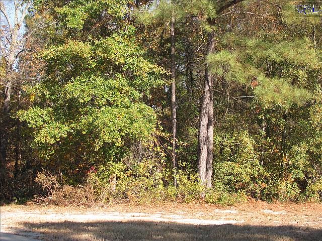 2nd image of 120 Bent Oak Trl