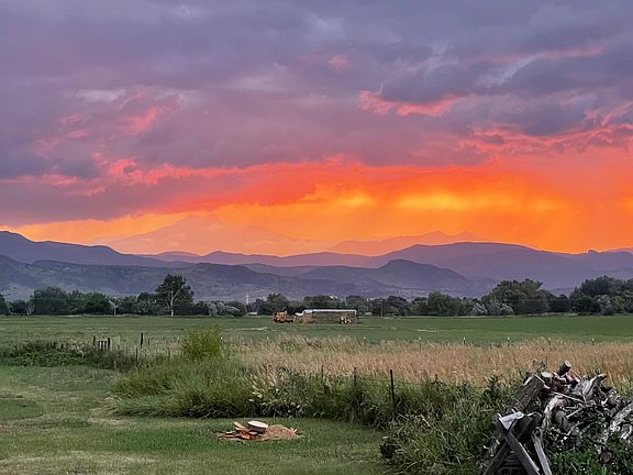 View from the backyard