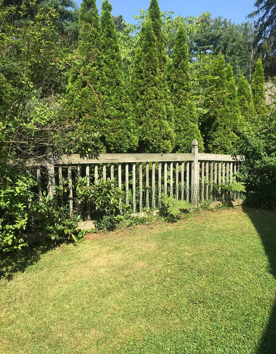 216 Kelvin Pl — Photo 4