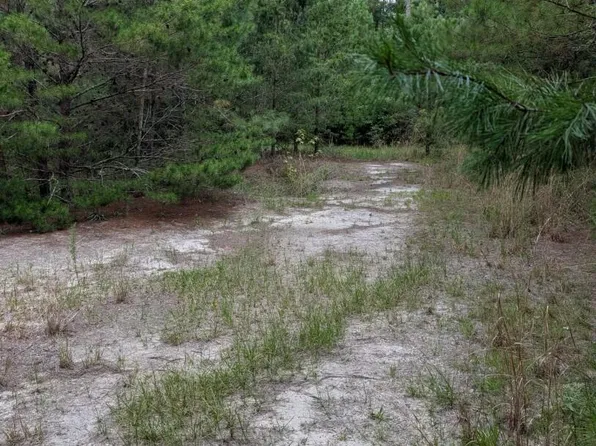 TBD Chief Bragg Dr, Freeport, FL 32439