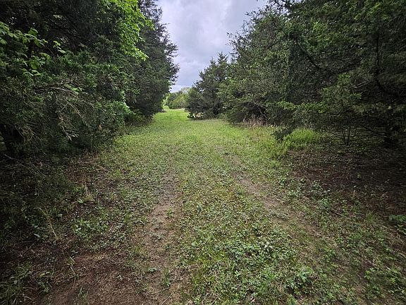 4th image of 000 W Dade 2