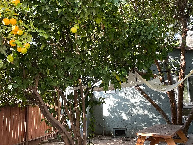 1859 Lakeshore Ave — Photo 13