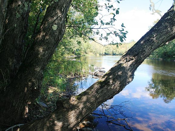 4th image of ON UP RIVER RD