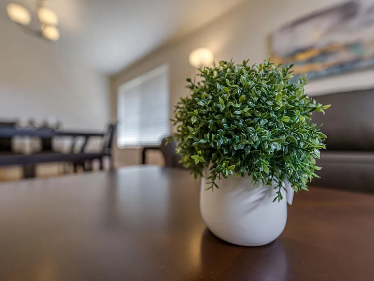4791 Mesa Meadows Dr — Photo 36