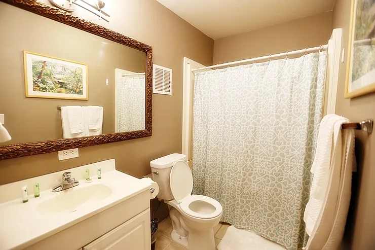 439 Nahua St #5 — Photo 4