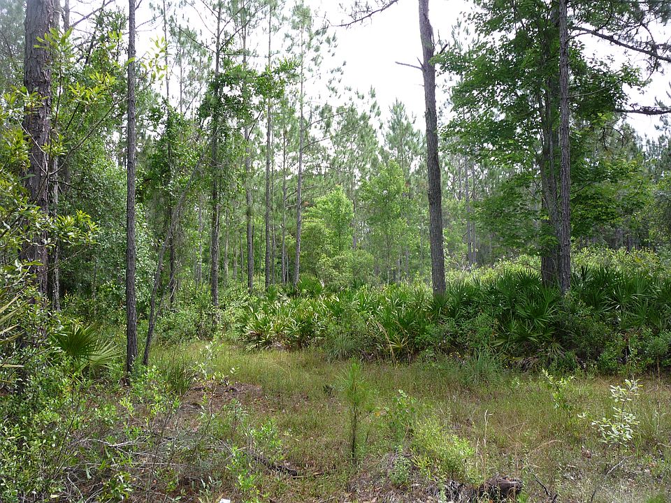 1st image of 12773 Rockridge Road