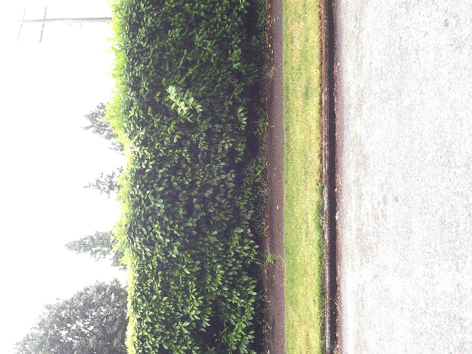 2nd image of 2250 NE 77th St