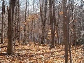1st image of 19 Prout Ln