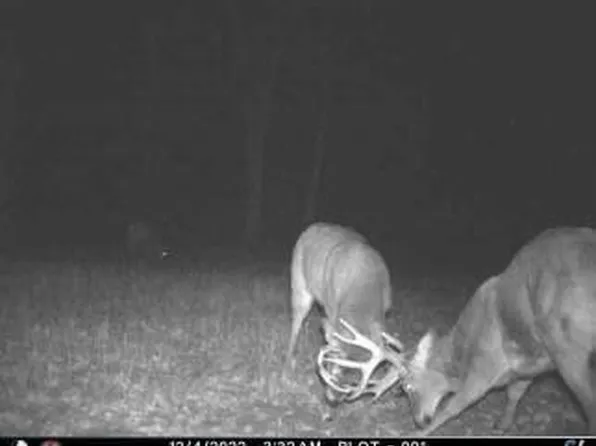 1445 11th Avenue, Friendship, WI 53934