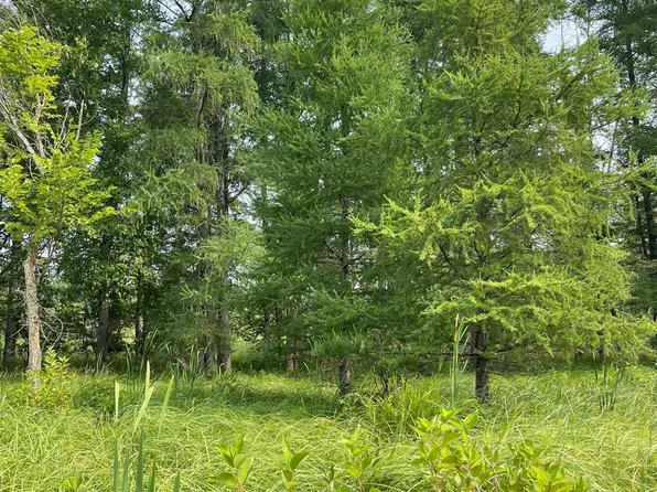 County Road 2, Avon, MN 56310