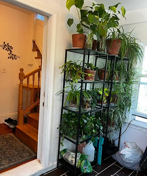 163 Roslindale Ave #2 — Photo 2