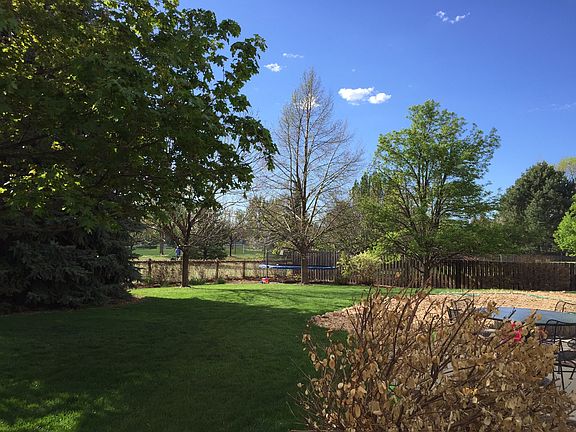 back yard