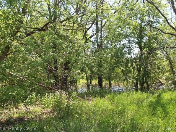 0 Maute Rd, Grass Lake, MI 49240