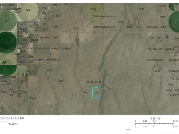 11800 E Black Hls, Christmas Valley, OR 97641