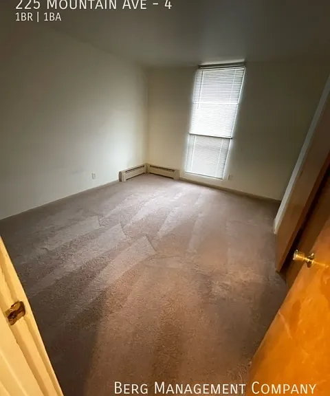 225 Mountain Ave #4 — Photo 4