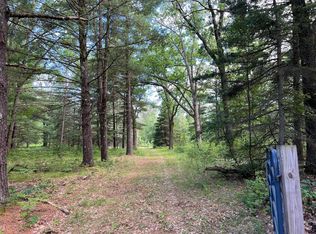 20827 Hoxeyville Rd, Wellston, MI 49689