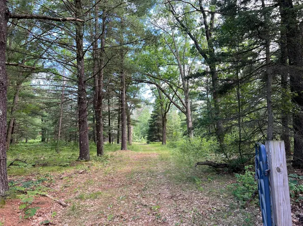 20827 Hoxeyville Rd, Wellston, MI 49689
