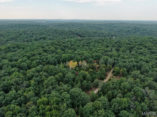 25096/DELBRIDG E Rd, Potosi, MO 63664