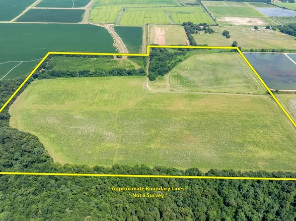 Gray Rd, Des Arc, AR 72040