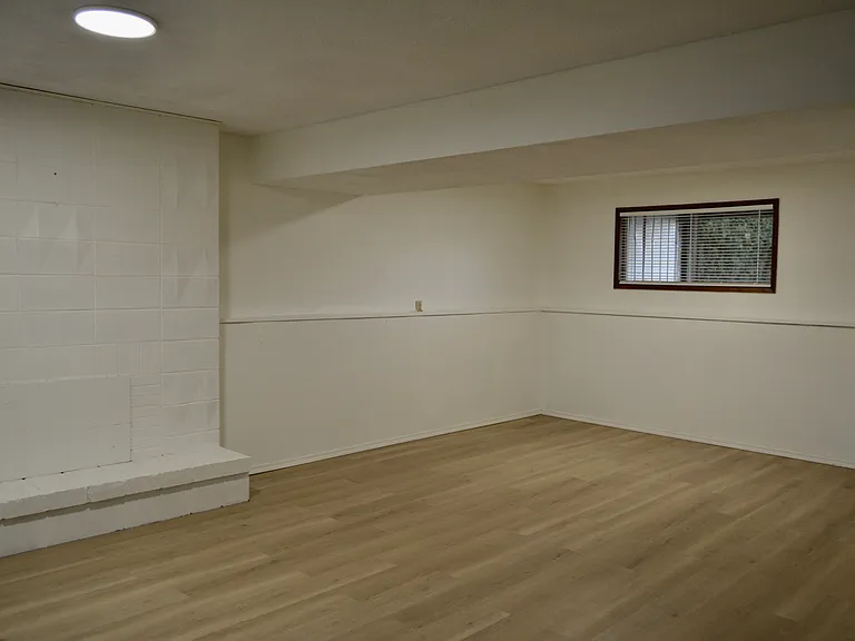 recreation room - lower level