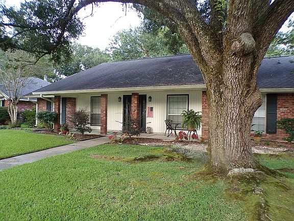 MATURE LIVE OAK