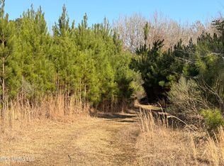 Delancey Rd, Braxton, MS 39044