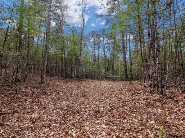14 Paint Horse Way Lot 14, Sevierville, TN 37876