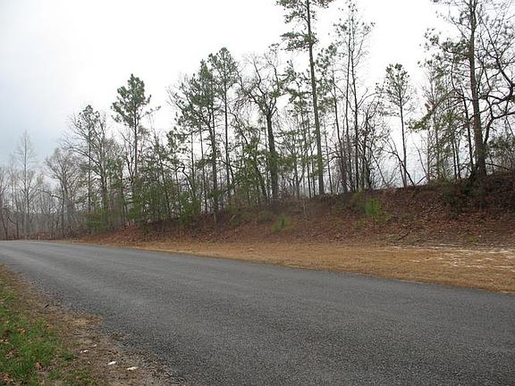 2nd image of 2 Point 9 Acres In Chilton Co