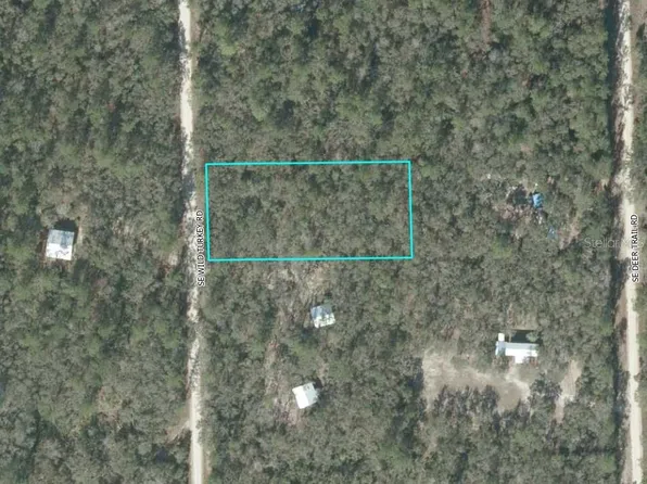 SE Wild Turkey Rd Lot A-22, Branford, FL 32008