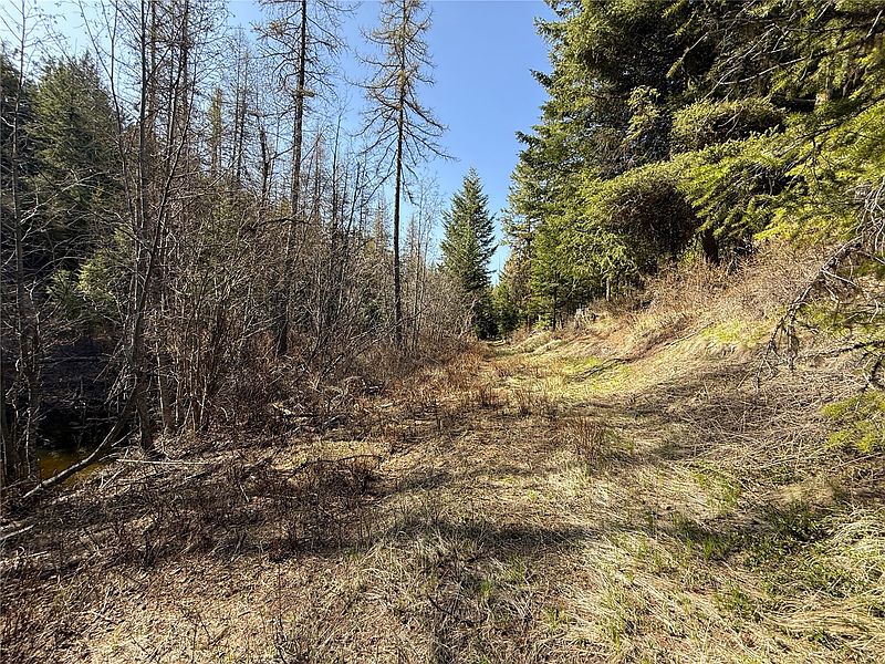 2nd image of 0 TBD Give Out Creek Road