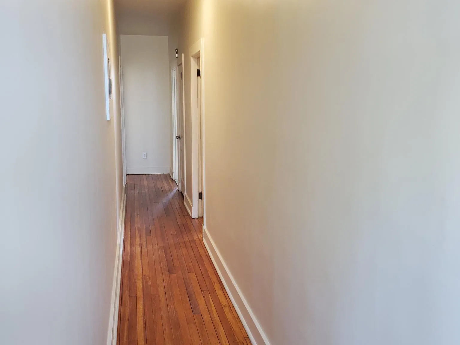 1 bed, 800 sqft, $825 — Photo 3
