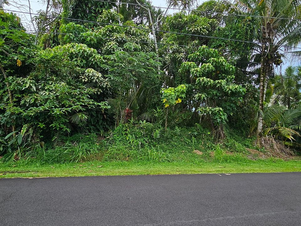 1st image of Puni Lapa Loop S Lot 1774
