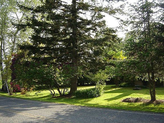 5th image of 1304 Marine Dr